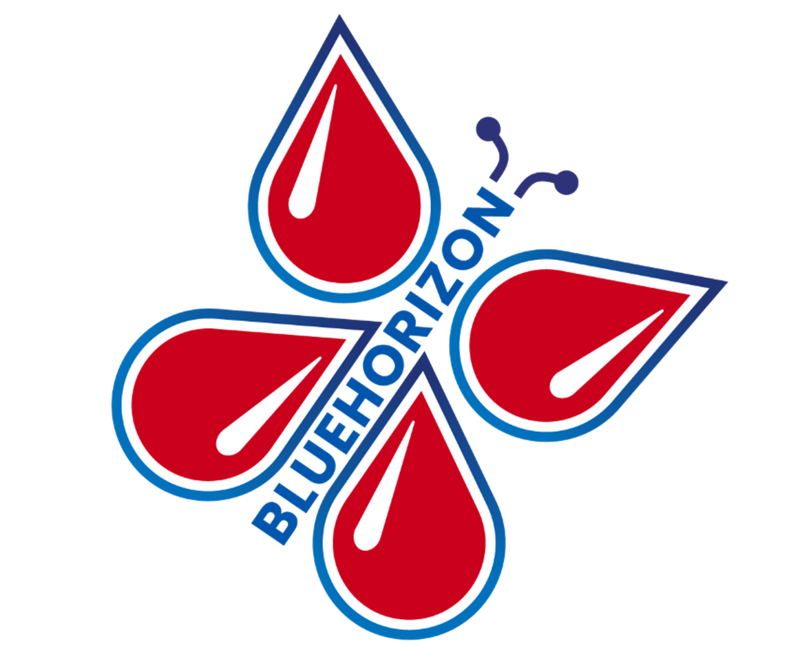 Blue Horizon